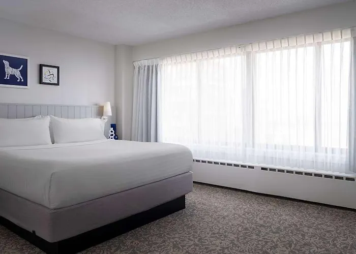 Hotel Sonesta Es Dntn *